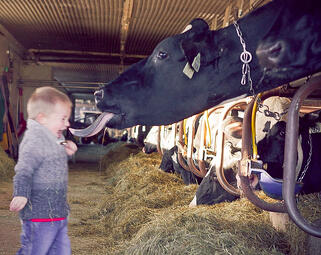 youngster_with_cow
