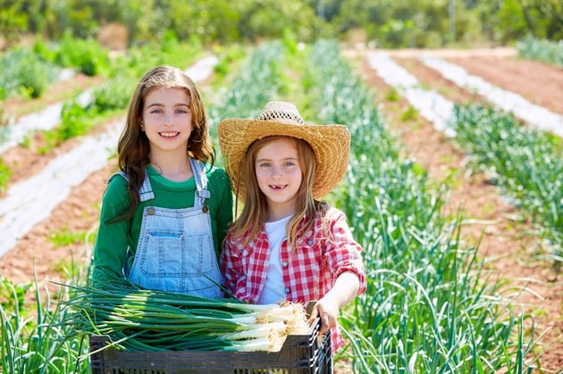 Young farmers 