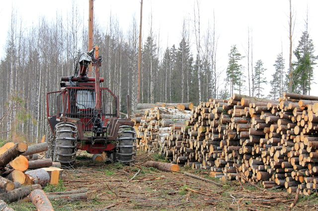 Our forestry needs 