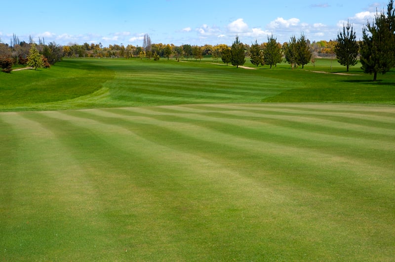 professionally cut turf