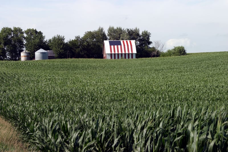 Iowa corn field 